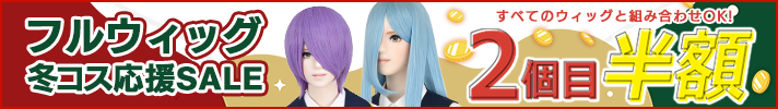 ウィッグ4シリーズ2個目半額
