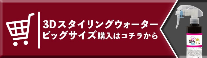 購入はコチラビッグ