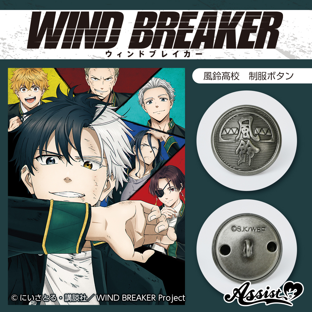 WIND BREAKER　風鈴高校　ボタン　1個